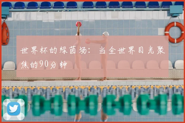 世界杯的绿茵场:当全世界目光聚焦的90分钟