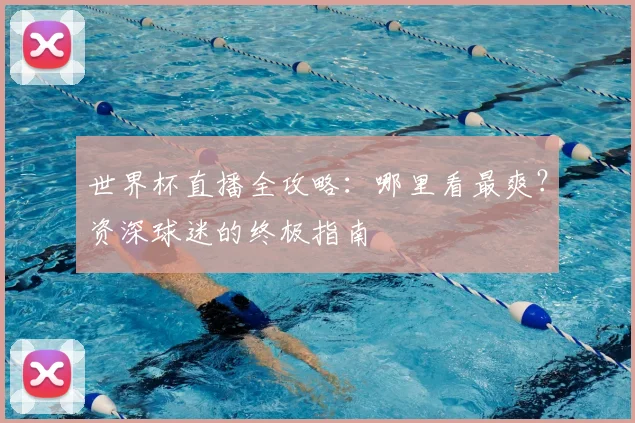 世界杯直播全攻略:哪里看最爽?资深球迷的终极指南
