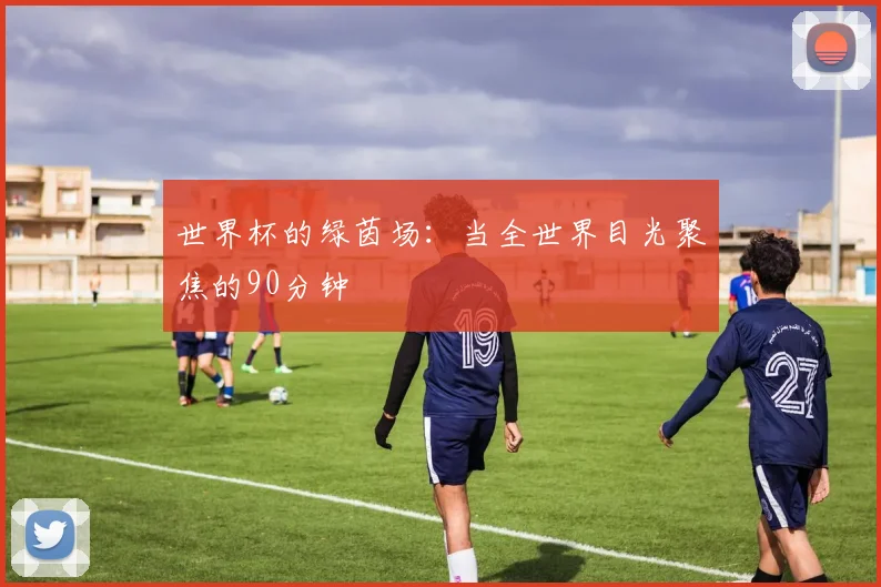 世界杯的绿茵场：当全世界目光聚焦的90分钟